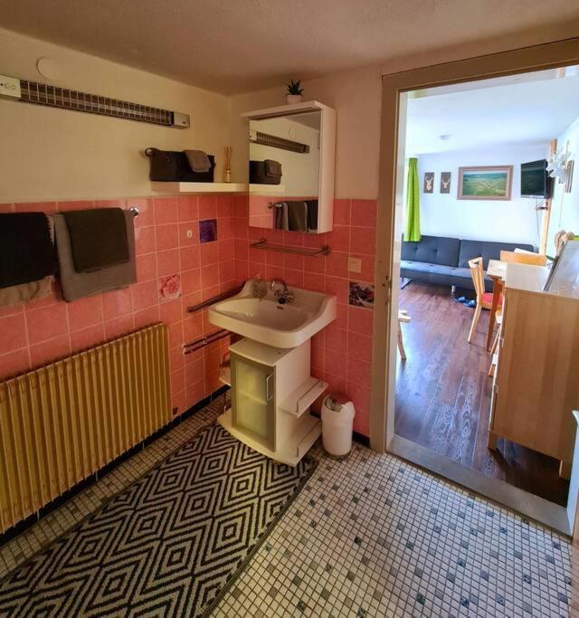 Idyllische Kleine Ferienwohnung Im Schwarzwald Friedenweiler المظهر الخارجي الصورة