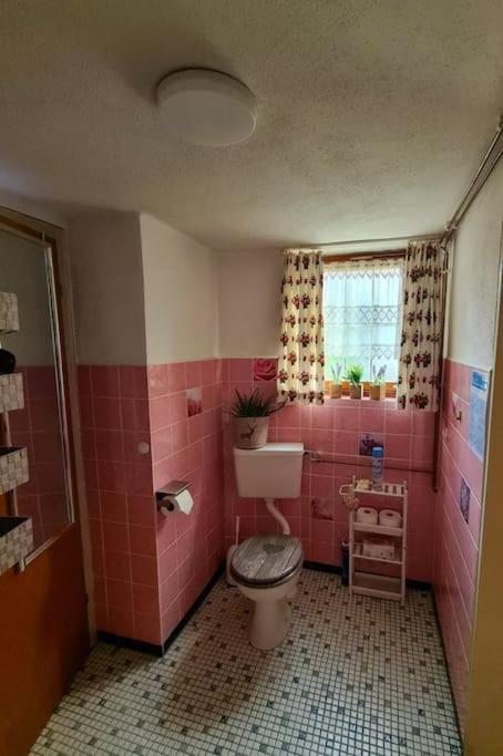 Idyllische Kleine Ferienwohnung Im Schwarzwald Friedenweiler المظهر الخارجي الصورة