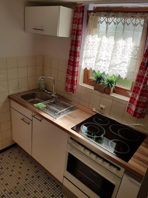 Idyllische Kleine Ferienwohnung Im Schwarzwald Friedenweiler المظهر الخارجي الصورة
